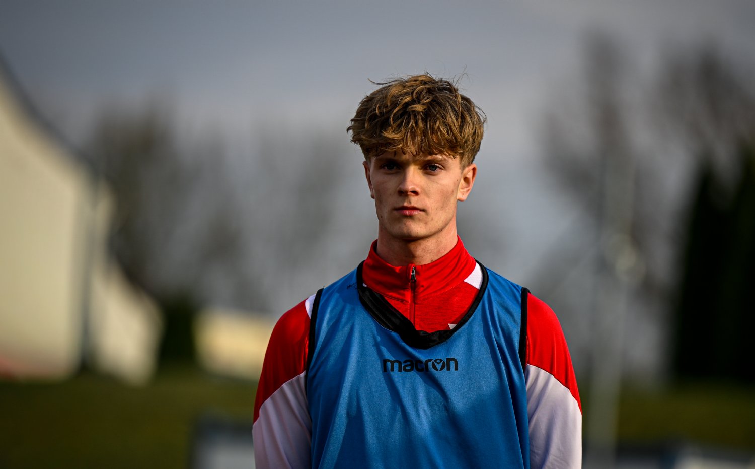 B-t�m | Na dom�com tr�vniku priv�tame Senec