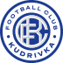FC Kudrivka